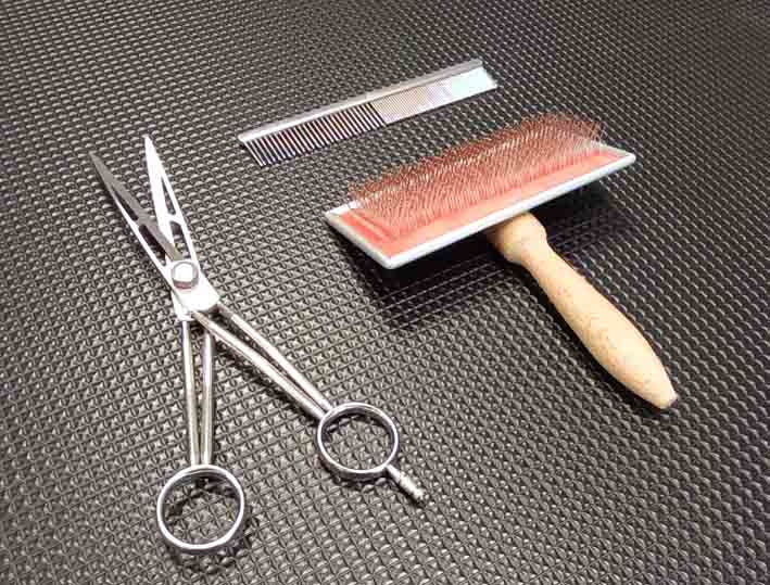 Mue du chien : que peut faire un salon de toilettage que vous ne pouvez pas faire chez vous ?